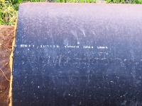 Imagine atasata: IMG_BgCt_020.jpg
